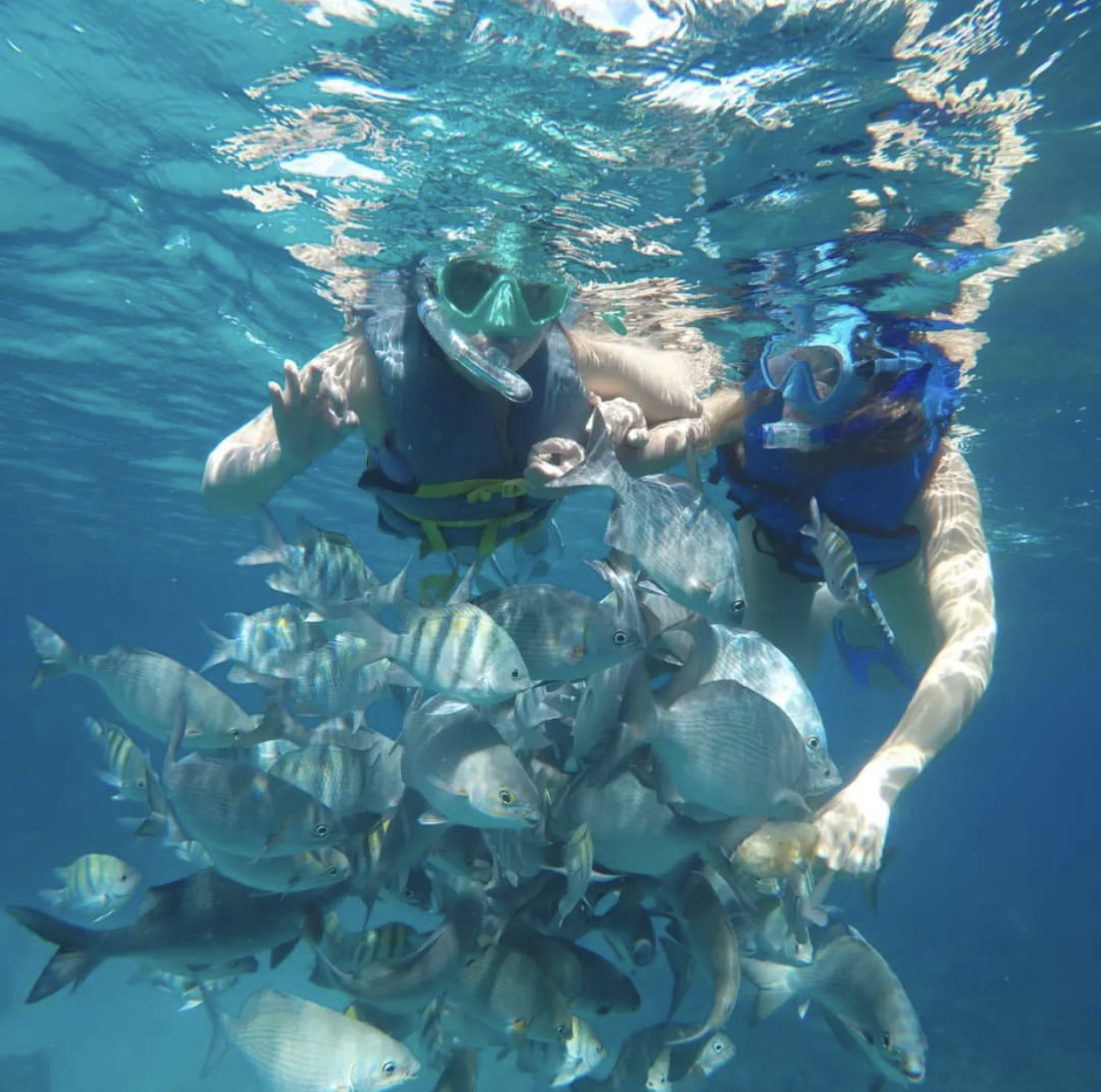 Cuban life Tours