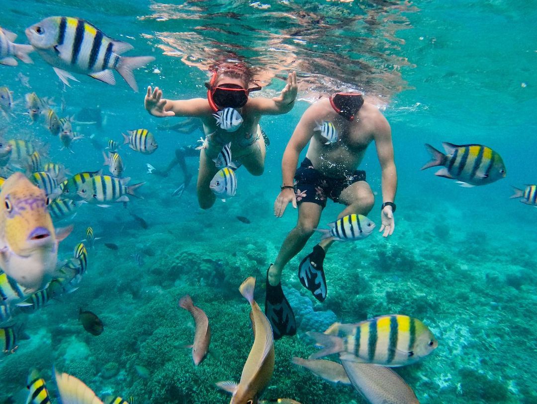 Cuban life Tours